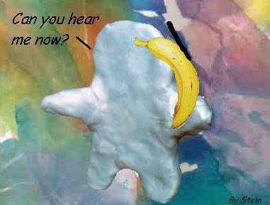 contact_image.jpg